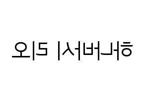 KPOP NiziU(니지유、ニジュー) 리오 (梨緒) コンサート用　応援ボード・うちわ　韓国語/ハングル文字型紙 左右反転