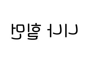 KPOP NiziU(니지유、ニジュー) 니나 (ヒルマン・ニナ, ニナ) 無料サイン会用、イベント会用応援ボード型紙 左右反転