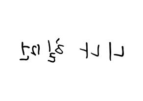 KPOP NiziU(니지유、ニジュー) 니나 (ヒルマン・ニナ, ニナ) k-pop アイドル名前　ボード 言葉 左右反転