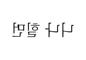 KPOP NiziU(니지유、ニジュー) 니나 (ニナ) 応援ボード・うちわ　韓国語/ハングル文字型紙 左右反転