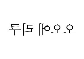 KPOP NiziU(니지유、ニジュー) 리쿠 (梨久) 応援ボード・うちわ　韓国語/ハングル文字型紙 左右反転