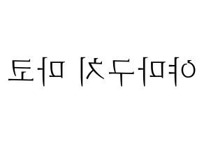 KPOP NiziU(니지유、ニジュー) 마코 (真子) 応援ボード・うちわ　韓国語/ハングル文字型紙 左右反転