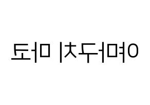 KPOP NiziU(니지유、ニジュー) 마코 (真子) プリント用応援ボード型紙、うちわ型紙　韓国語/ハングル文字型紙 左右反転