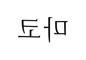 KPOP NiziU(니지유、ニジュー) 마코 (真子) 応援ボード・うちわ　韓国語/ハングル文字型紙 左右反転