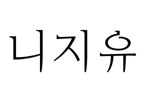 無料 KPOP歌手 NiziU(니지유、ニジュー) ハングル応援ボード型紙、応援グッズ制作 通常