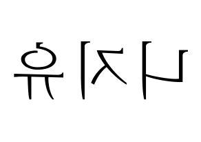 無料 KPOP歌手 NiziU(니지유、ニジュー) ハングル応援ボード型紙、応援グッズ制作 左右反転