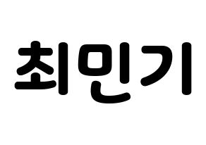 KPOP NU'EST(뉴이스트、ニューイースト) 렌 (レン) 応援ボード・うちわ　韓国語/ハングル文字型紙 通常