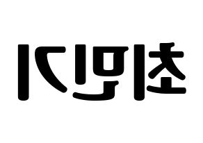 KPOP NU'EST(뉴이스트、ニューイースト) 렌 (レン) コンサート用　応援ボード・うちわ　韓国語/ハングル文字型紙 左右反転