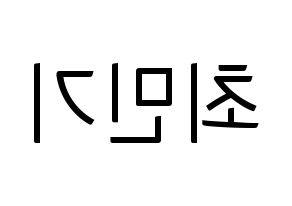 KPOP NU'EST(뉴이스트、ニューイースト) 렌 (レン) コンサート用　応援ボード・うちわ　韓国語/ハングル文字型紙 左右反転