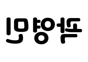 KPOP NU'EST(뉴이스트、ニューイースト) 아론 (アロン) 応援ボード・うちわ　韓国語/ハングル文字型紙 左右反転