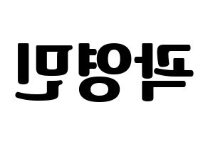 KPOP NU'EST(뉴이스트、ニューイースト) 아론 (アロン) コンサート用　応援ボード・うちわ　韓国語/ハングル文字型紙 左右反転