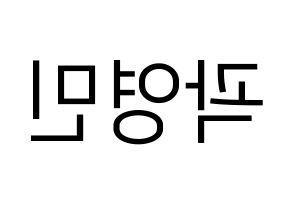 KPOP NU'EST(뉴이스트、ニューイースト) 아론 (アロン) プリント用応援ボード型紙、うちわ型紙　韓国語/ハングル文字型紙 左右反転