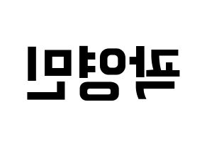 KPOP NU'EST(뉴이스트、ニューイースト) 아론 (アロン) k-pop アイドル名前 ファンサボード 型紙 左右反転