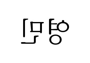KPOP NU'EST(뉴이스트、ニューイースト) 아론 (アロン) 応援ボード・うちわ　韓国語/ハングル文字型紙 左右反転
