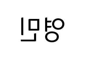 KPOP NU'EST(뉴이스트、ニューイースト) 아론 (アロン) コンサート用　応援ボード・うちわ　韓国語/ハングル文字型紙 左右反転