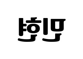 KPOP NU'EST(뉴이스트、ニューイースト) 민현 (ミンヒョン) コンサート用　応援ボード・うちわ　韓国語/ハングル文字型紙 左右反転