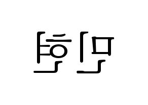 KPOP NU'EST(뉴이스트、ニューイースト) 민현 (ミンヒョン) 応援ボード・うちわ　韓国語/ハングル文字型紙 左右反転
