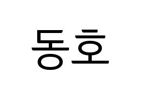 KPOP NU'EST(뉴이스트、ニューイースト) 백호 (ベクホ) コンサート用　応援ボード・うちわ　韓国語/ハングル文字型紙 通常