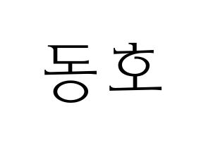 KPOP NU'EST(뉴이스트、ニューイースト) 백호 (ベクホ) 応援ボード・うちわ　韓国語/ハングル文字型紙 通常