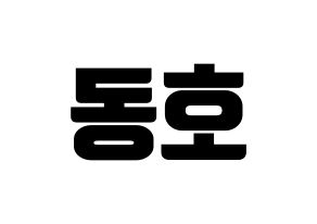 KPOP NU'EST(뉴이스트、ニューイースト) 백호 (ベクホ) コンサート用　応援ボード・うちわ　韓国語/ハングル文字型紙 通常