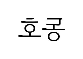 KPOP NU'EST(뉴이스트、ニューイースト) 백호 (ベクホ) 応援ボード・うちわ　韓国語/ハングル文字型紙 左右反転