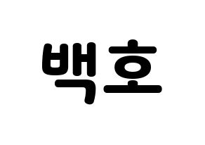 KPOP NU'EST(뉴이스트、ニューイースト) 백호 (ベクホ) 応援ボード・うちわ　韓国語/ハングル文字型紙 通常