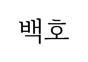 KPOP NU'EST(뉴이스트、ニューイースト) 백호 (ベクホ) 応援ボード・うちわ　韓国語/ハングル文字型紙 通常