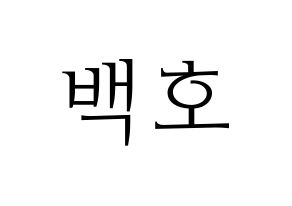 KPOP NU'EST(뉴이스트、ニューイースト) 백호 (ベクホ) 応援ボード・うちわ　韓国語/ハングル文字型紙 通常