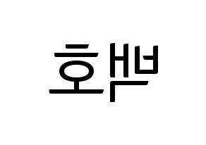 KPOP NU'EST(뉴이스트、ニューイースト) 백호 (ベクホ) コンサート用　応援ボード・うちわ　韓国語/ハングル文字型紙 左右反転