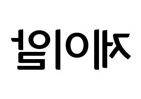 KPOP NU'EST(뉴이스트、ニューイースト) 제이알 (JR) k-pop アイドル名前 ファンサボード 型紙 左右反転