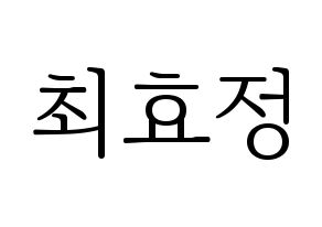 KPOP OH MY GIRL(오마이걸、オーマイガール) 효정 (ヒョジョン) 応援ボード・うちわ　韓国語/ハングル文字型紙 通常