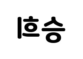 KPOP OH MY GIRL(오마이걸、オーマイガール) 승희 (スンヒ) 応援ボード・うちわ　韓国語/ハングル文字型紙 左右反転