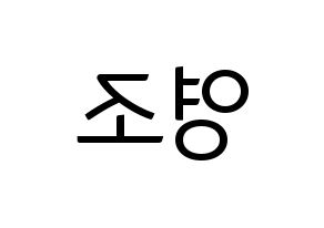 KPOP ONEUS(원어스、ワナス) 레이븐 (レイブン) コンサート用　応援ボード・うちわ　韓国語/ハングル文字型紙 左右反転