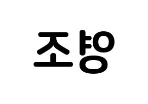 KPOP ONEUS(원어스、ワナス) 레이븐 (キム･ヨンジョ, レイブン) k-pop アイドル名前　ボード 言葉 左右反転