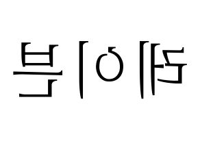 KPOP ONEUS(원어스、ワナス) 레이븐 (レイブン) 応援ボード・うちわ　韓国語/ハングル文字型紙 左右反転