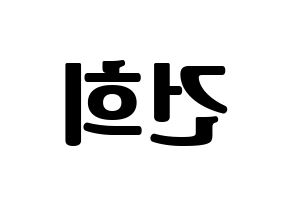 KPOP ONEUS(원어스、ワナス) 건희 (ゴニ) コンサート用　応援ボード・うちわ　韓国語/ハングル文字型紙 左右反転