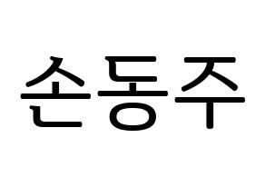 KPOP ONEUS(원어스、ワナス) 시온 (シオン) プリント用応援ボード型紙、うちわ型紙　韓国語/ハングル文字型紙 通常