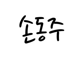 KPOP ONEUS(원어스、ワナス) 시온 (シオン) 応援ボード ハングル 型紙  通常