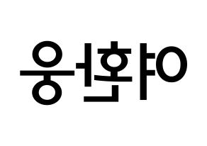KPOP ONEUS(원어스、ワナス) 환웅 (ヨ･ファヌン, ファヌン) 無料サイン会用、イベント会用応援ボード型紙 左右反転