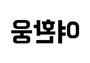 KPOP ONEUS(원어스、ワナス) 환웅 (ファヌン) k-pop アイドル名前 ファンサボード 型紙 左右反転