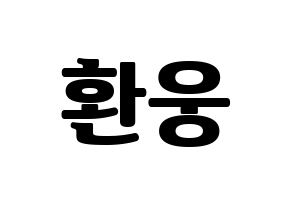 KPOP ONEUS(원어스、ワナス) 환웅 (ファヌン) コンサート用　応援ボード・うちわ　韓国語/ハングル文字型紙 通常