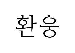 KPOP ONEUS(원어스、ワナス) 환웅 (ファヌン) 応援ボード・うちわ　韓国語/ハングル文字型紙 通常