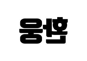 KPOP ONEUS(원어스、ワナス) 환웅 (ファヌン) コンサート用　応援ボード・うちわ　韓国語/ハングル文字型紙 左右反転