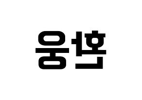 KPOP ONEUS(원어스、ワナス) 환웅 (ファヌン) k-pop アイドル名前 ファンサボード 型紙 左右反転
