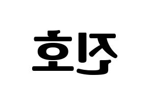 KPOP PENTAGON(펜타곤、ペンタゴン) 진호 (ジノ) コンサート用　応援ボード・うちわ　韓国語/ハングル文字型紙 左右反転