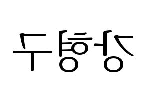 KPOP PENTAGON(펜타곤、ペンタゴン) 키노 (キノ) 応援ボード・うちわ　韓国語/ハングル文字型紙 左右反転