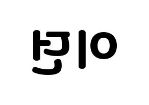 KPOP PENTAGON(펜타곤、ペンタゴン) 이던 (イドン) 応援ボード・うちわ　韓国語/ハングル文字型紙 左右反転