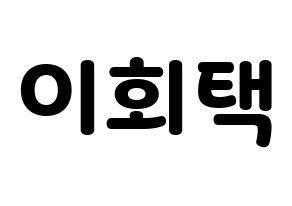 KPOP PENTAGON(펜타곤、ペンタゴン) 후이 (フイ) 応援ボード・うちわ　韓国語/ハングル文字型紙 通常