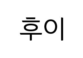 KPOP PENTAGON(펜타곤、ペンタゴン) 후이 (フイ) コンサート用　応援ボード・うちわ　韓国語/ハングル文字型紙 通常