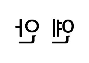 KPOP PENTAGON(펜타곤、ペンタゴン) 옌안 (イェナン) プリント用応援ボード型紙、うちわ型紙　韓国語/ハングル文字型紙 左右反転